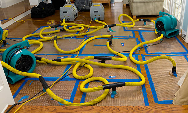 Professional Sewage Cleanup technician working in East Troy, WI